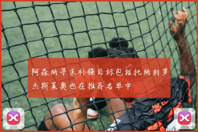 阿森纳寻求补强目标包括托纳利罗杰斯莱奥也在推荐名单中