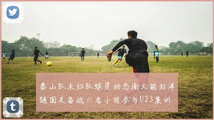 泰山队未归队球员动态谢文能刘洋随国足备战六名小将参与U23集训